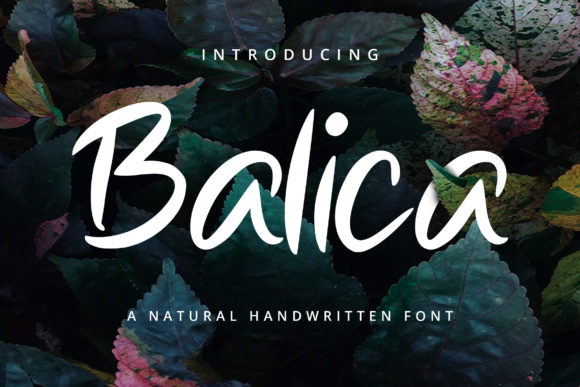Balica: A Trendy Script Font for Editorial Design