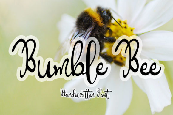 Bumble Bee: The Elegant Script Font for Campaigns