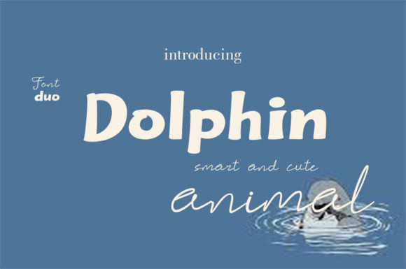 Dolphin Coulibri: A Real-World Designer Review
