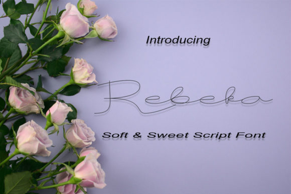 Rebeca Font Review: A Delicate Script for Brand Identity