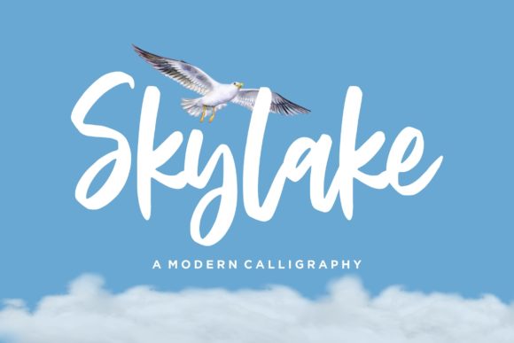 Skylake: A Delicate Script Font for Modern Web Design